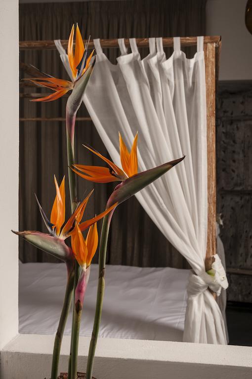 Seven Maze Charming House Bed & Breakfast บารี ห้อง รูปภาพ